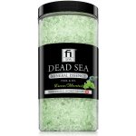 Fi SPA Mineral Essence Eukalyptus mentol 500ml – Zboží Dáma