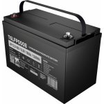 T6 Power LiFePO4 12.8V 100Ah 1280Wh Bluetooth T16 T6LFP0008 – Zboží Živě