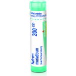 NATRUM MURIATICUM POR 200CH GRA 1X4G – Hledejceny.cz