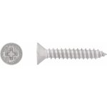 Vrut do plechu se zápustnou hlavou PH2 plný závit bíle pozink. 4,2x13 mm, 12 ks – Hledejceny.cz