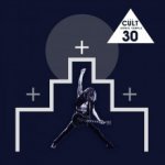 Cult - Sonic Temple - 30th Anniversary Edition LP+MC - Vinyl – Hledejceny.cz