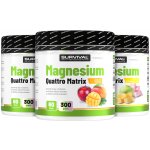 Survival Magnesium Quattro Matrix 300 g 2+1 ZDARMA 2 x jablko + 1 x pomelo&marsh – Hledejceny.cz