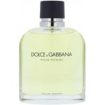 Dolce & Gabbana toaletní voda pánská 200 ml – Hledejceny.cz