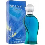 Giorgio Beverly Hills Wings toaletní voda pánská 100 ml – Hledejceny.cz