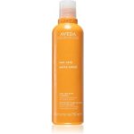 Aveda Sun Care Hair and Body Cleanser 250 ml – Zboží Mobilmania