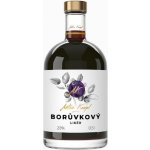 Anton Kaapl Borůvkový Likér 28% 0,5 l (holá láhev) – Zbozi.Blesk.cz