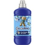 Coccolino Creations Modrá s bergamotem aviváž 1,275 l – Zboží Mobilmania