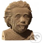 Cartonic 3D PUZZLE Albert EINSTEIN 172 ks – Sleviste.cz