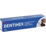 Dentisept 2mg/g pasta pro psy a kočky 20 g – Zbozi.Blesk.cz