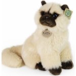 KOČKA BARMSKÝ KOČKA BRITSKÁ DLOUHOSRSTÁ – Hledejceny.cz