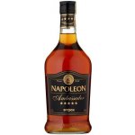 Napoleon Ambassador 30% 0,7 l (holá láhev) – Zboží Dáma