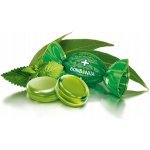 ROSHEN Bonbóny eukalyptus a mentol 1 kg – Sleviste.cz