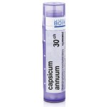 CAPSICUM ANNUUM POR 30CH GRA 1X4G – Hledejceny.cz