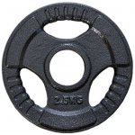 FitnessLine Kotouč olympijský litinový 50 mm - 2,5 kg – Zbozi.Blesk.cz