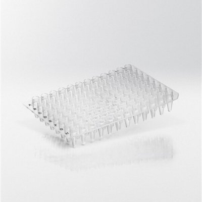 Nerbe plus PCR destička 96 x 0,2 ml transparentní neorámovaná 100 ks – Zboží Živě