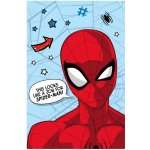 Jerry Fabrics Mikroflanelová deka Spider Man – Sleviste.cz