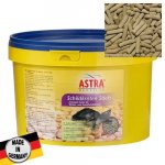 Astra Turtle Sticks 3000 ml – Zboží Dáma