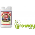 Advanced Nutrients CarboLoad Liquid 1 l – Sleviste.cz