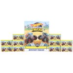 Mattel Hot Weels MONSTER TRUCK MINI AUTO – Zboží Dáma