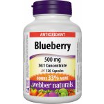 Webber Naturals Borůvky blueberry 500 mg 120 kapslí – Hledejceny.cz