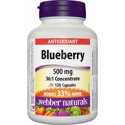 Webber Naturals Borůvky blueberry 500 mg 120 kapslí – Hledejceny.cz