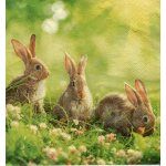 Ubrousek 33x33 cm ZAJÍČCI – Hledejceny.cz