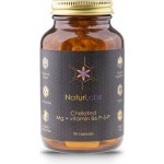 NaturLabs Chelated Mg + Vitamin B6 P-5-P 90 kapslí – Hledejceny.cz