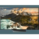 Sony Bravia KD-65ZD9