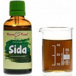 Bylinné kapky Sida nať tinktura 50 ml – Hledejceny.cz