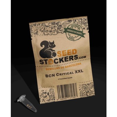 Seedstockers BCN Critical XXL semena neobsahují THC 1 ks – Zboží Dáma