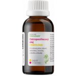 Dědek kořenář Novy Ostropes.olej s pampel. 100 ml – Hledejceny.cz