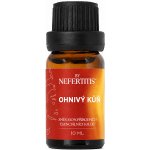 By Nefertitis směs 100% esenciálních olejů OHNIVÝ KŮŇ 10 ml – Hledejceny.cz