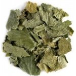 Aniland Sušené listy rybízu 50 g – Zboží Dáma