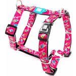 Max & Molly H Postroj Donuts – Sleviste.cz