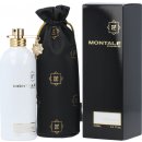 Montale Paris Moon Aoud parfémovaná voda unisex 100 ml