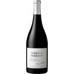 Davis Bynum Jane's Vineyard Pinot Noir 2023 Červené 14,5% 0,75 l (holá láhev) – Hledejceny.cz