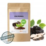 MycoMedica Polyporus prášek 2 x 100 g – Hledejceny.cz