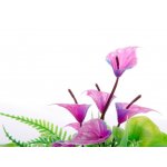 JK ANIMALS Mix květů 14 cm – Zbozi.Blesk.cz
