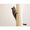 Odpočívadlo a škrabadlo pro kočky Kerbl škrabadlo pro kočky Bag Climber sisalové závěsné 260 x 16 x 16 cm