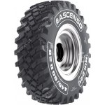 Ascenso MIR 221 460/70-24 159A8 TL – Hledejceny.cz