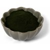 Doplněk stravy na detoxikaci Protein&Co. Chlorella BIO v prášku 100 g