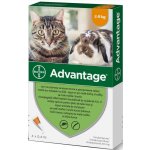 Advantage Spot-on pro malé kočky a králíky 40 mg 1 x 0,4 ml – Zboží Mobilmania