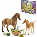 Schleich 42432 Set hříbě a Quarter kůň se štěňátkem a doplňky – Zbozi.Blesk.cz