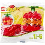 LEGO® DUPLO® 30068 Jablko – Zboží Živě