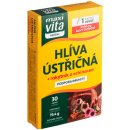 MaxiVita Herbal Hlíva ústřičná 30 kapslí