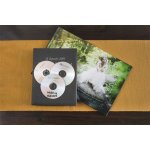 Verbatim DVD-R 4,7GB 16x, AZO, printable, cakebox, 25ks (43522) – Zboží Živě