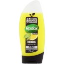 Radox Men Lemon Tea Tree sprchový gel 250 ml