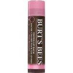 Burt´s Bees Tinted Lip Balm balzám na rty Hibiscus 4,25 g – Zboží Dáma