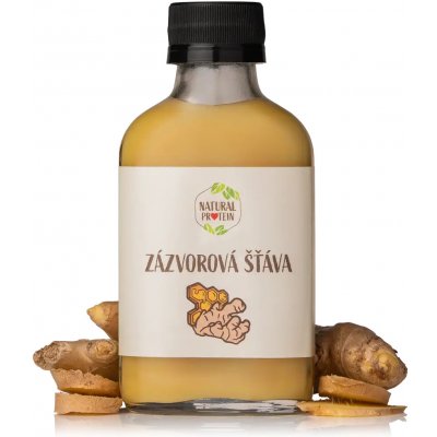 NaturalProtein Zázvorová šťáva 100 ml – Hledejceny.cz
