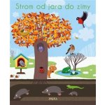 Strom od jara do zimy – Sleviste.cz